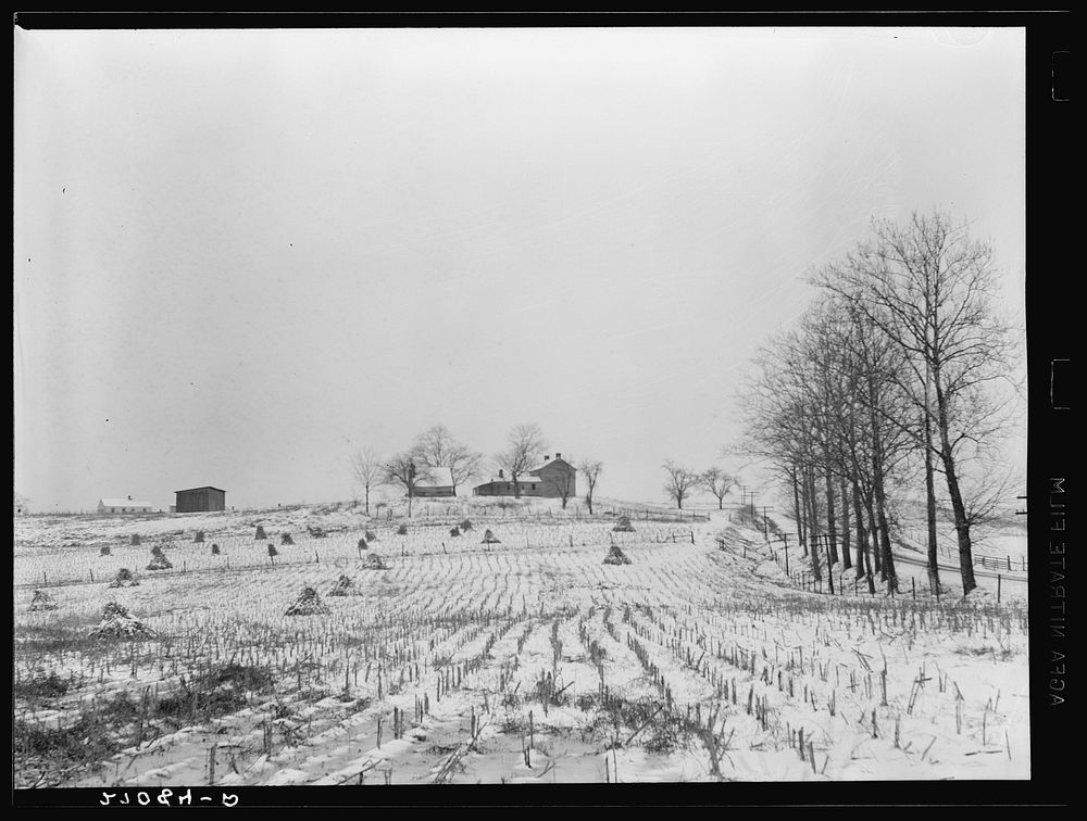 Farmland. Ross County, Ohio. Sourced from the Library of Congress.