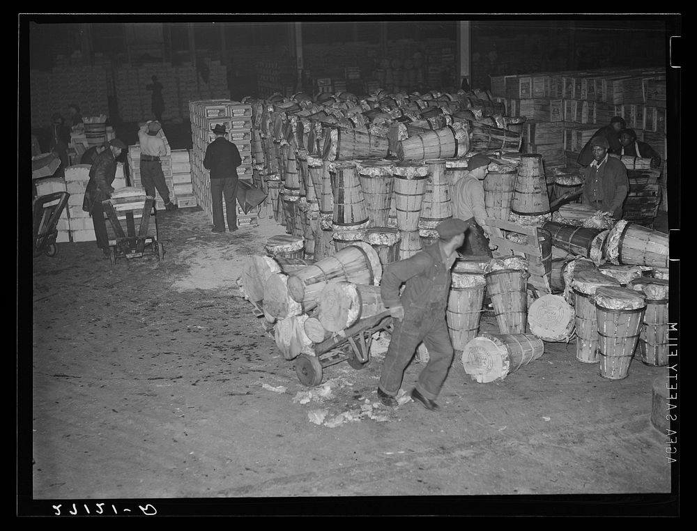 Unloading crates of cabbages at produce market, pier 29, New York City. Sourced from the Library of Congress.