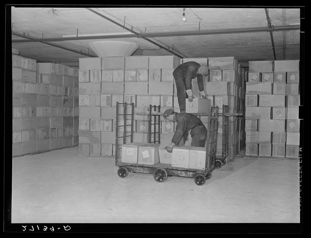 Cold storage warehouse. Eggs kept in "cooler room". Jersey City, New Jersey. Sourced from the Library of Congress.