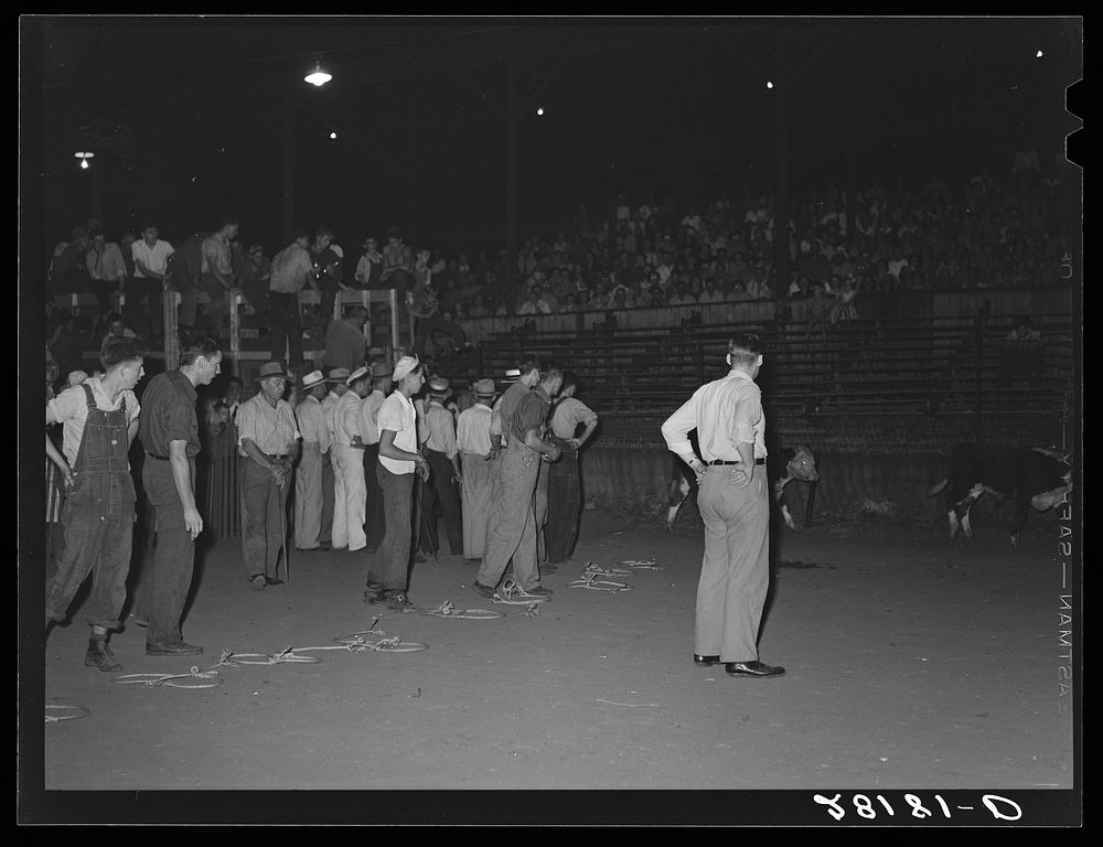 Start of calf-scramble, in which twelve boys try to catch six calves. Central Iowa Fair, Marshalltown, Iowa. Sourced from…