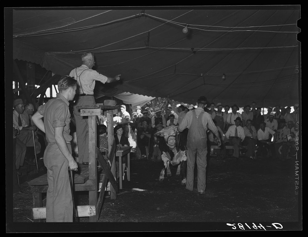 [Untitled photo, possibly related to: Auction of 4-H Club baby beeves. Central Iowa Fair, Marshalltown, Iowa]. Sourced from…