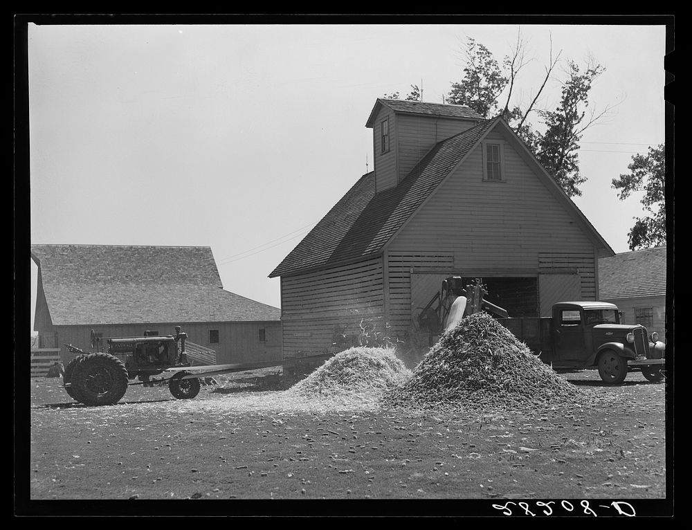 Shelling corn. Luther Passmore farm, Polk County, Iowa. Sourced from the Library of Congress.
