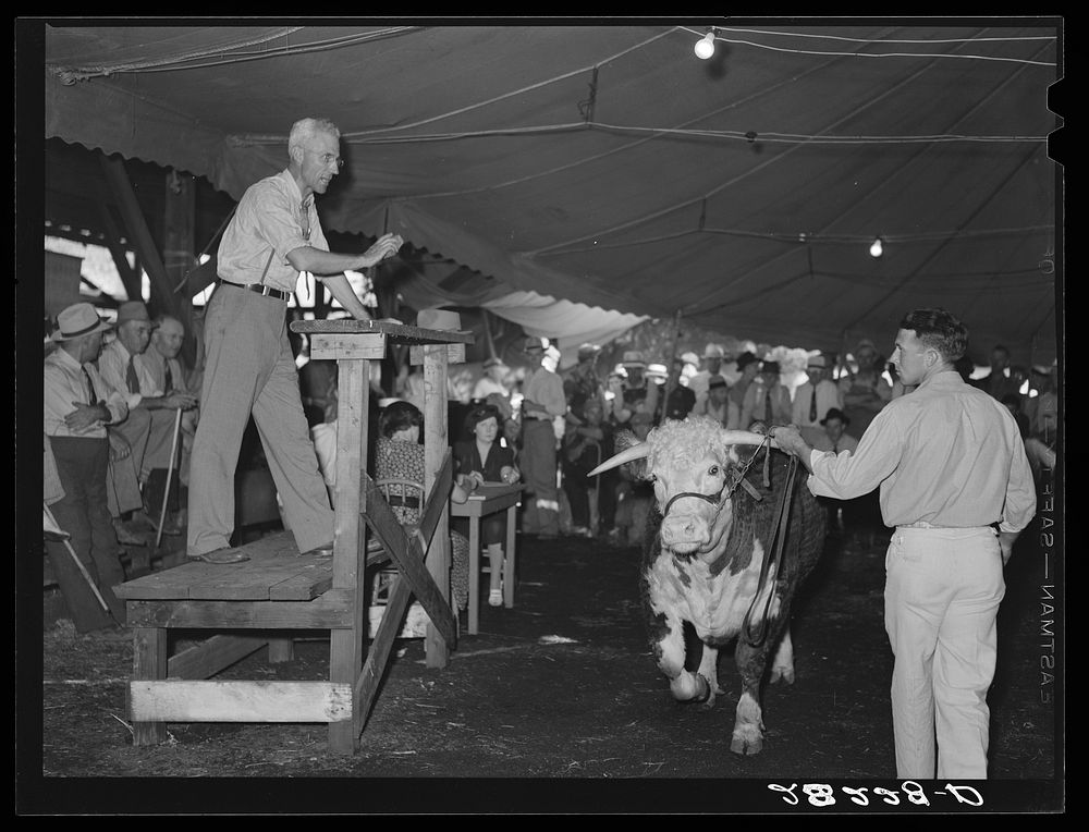 Baby beef auction. Central Iowa Fair, Marshalltown, Iowa. Sourced from the Library of Congress.