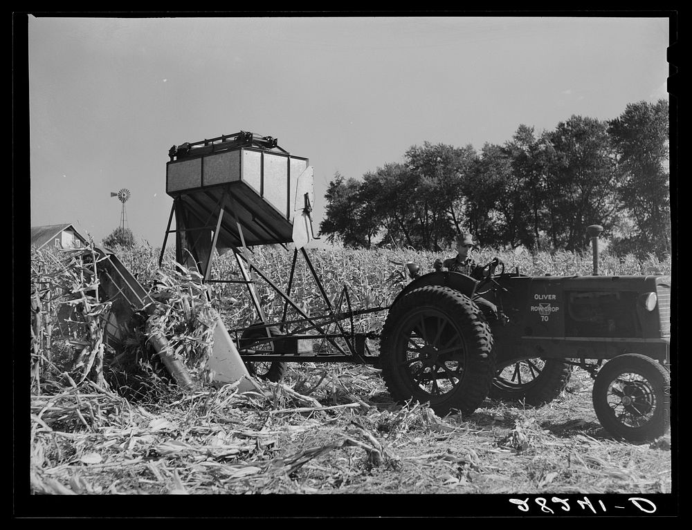 Cone-row puller type of mechanical corn picker. Robinson farm, Marshall County, Iowa. Sourced from the Library of Congress.