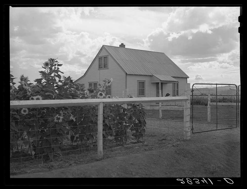 Resettlement project home. San Luis Valley Farms, Colorado. Sourced from the Library of Congress.