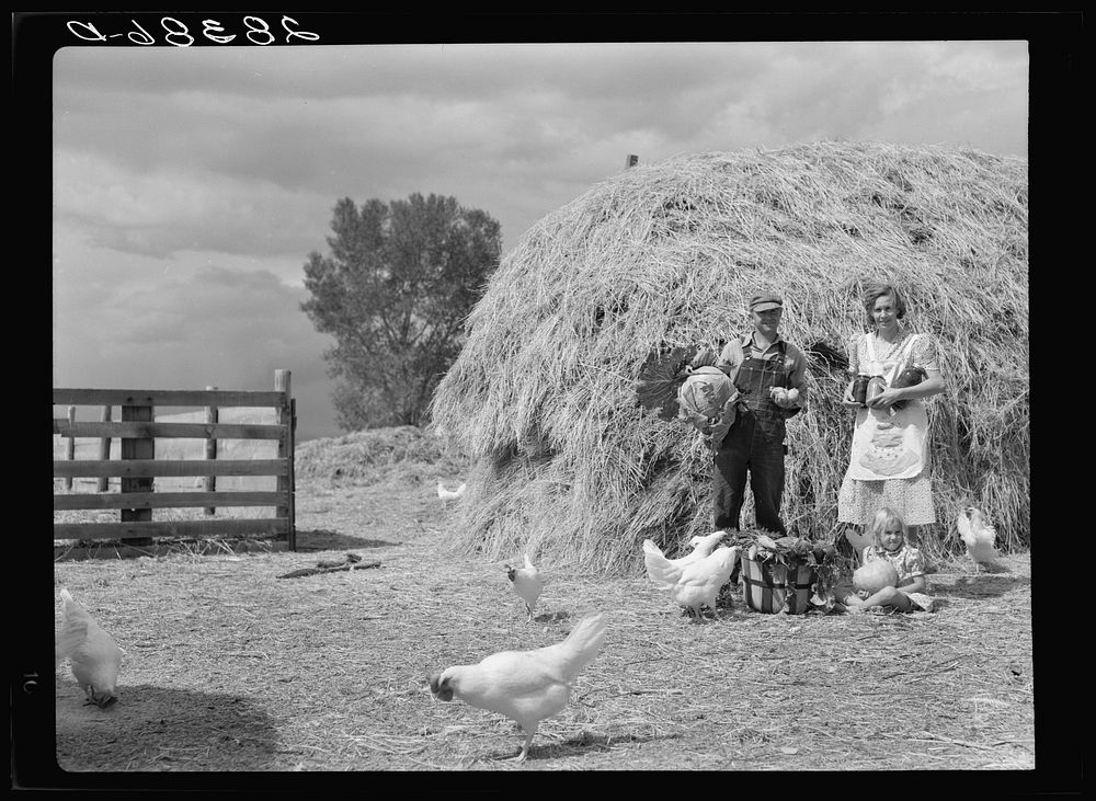 [Untitled photo, possibly related to: Mr. and Mrs. Howard Crowder and daughter, resettlement clients. San Luis Valley…