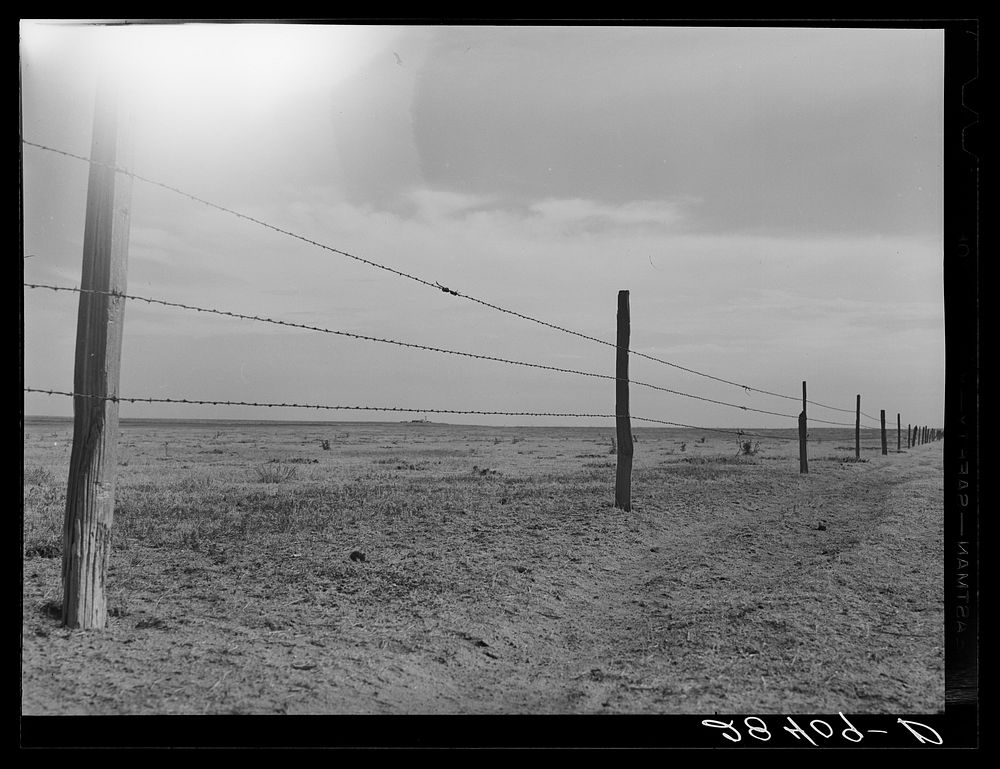 [Untitled photo, possibly related to: Barbed wire fence on arid land. Weld County, Colorado]. Sourced from the Library of…