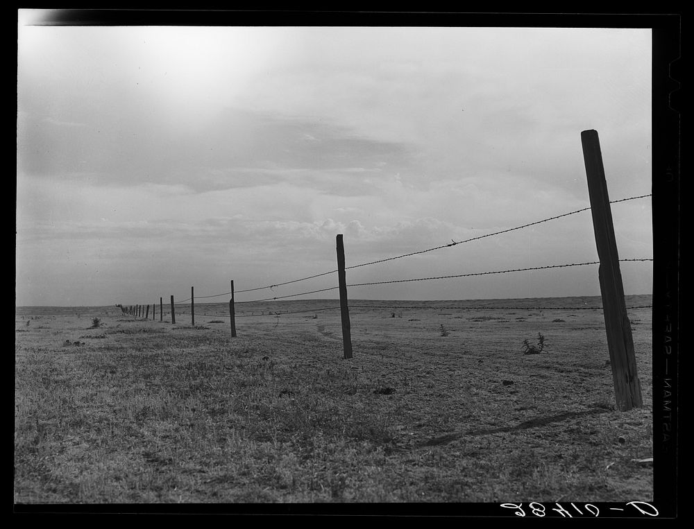 Barbed wire fence on arid land. Weld County, Colorado. Sourced from the Library of Congress.