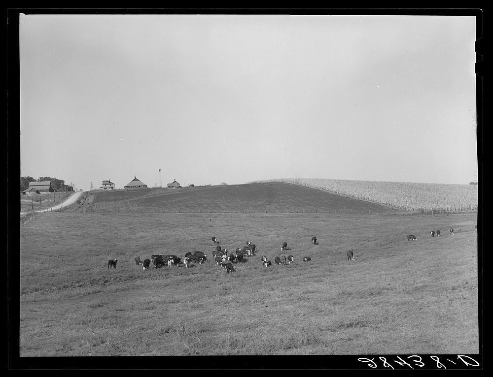 Farm. Marshall County, Iowa. Sourced from the Library of Congress.