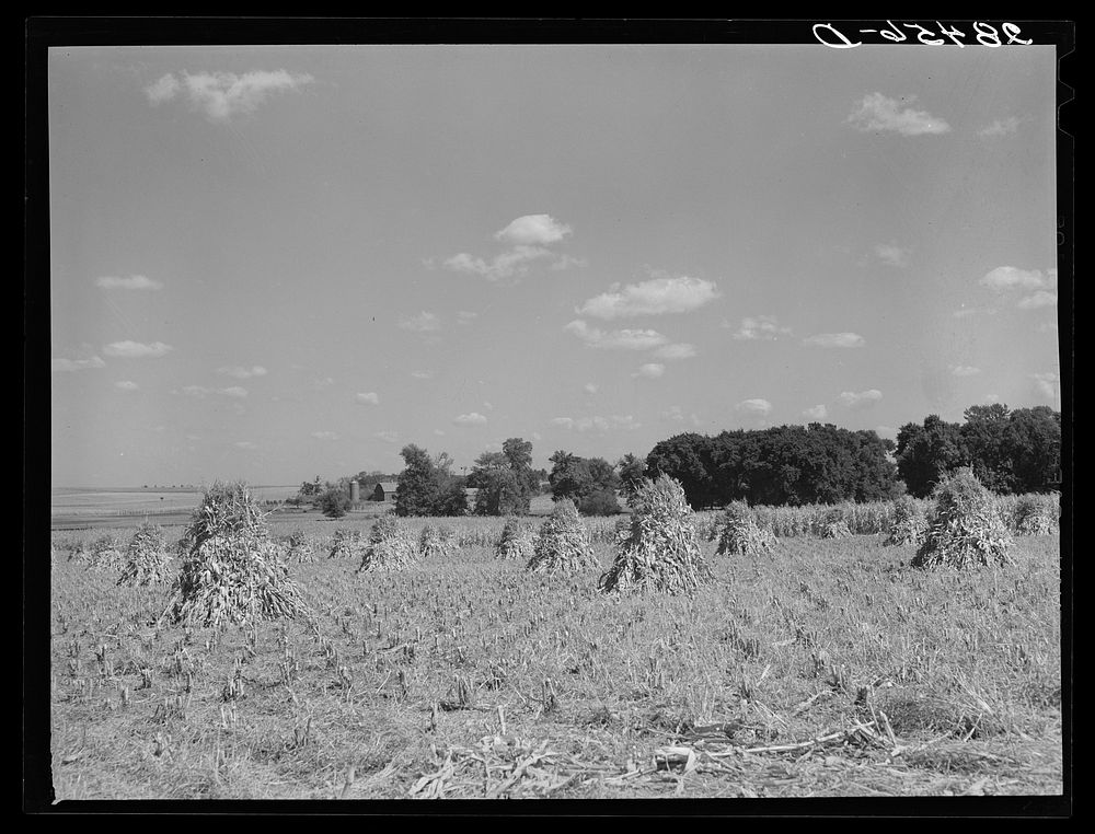 Farm. Grundy County, Iowa. Sourced from the Library of Congress.