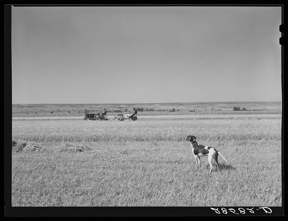 Western Slope Farms, Colorado. Sourced from the Library of Congress.