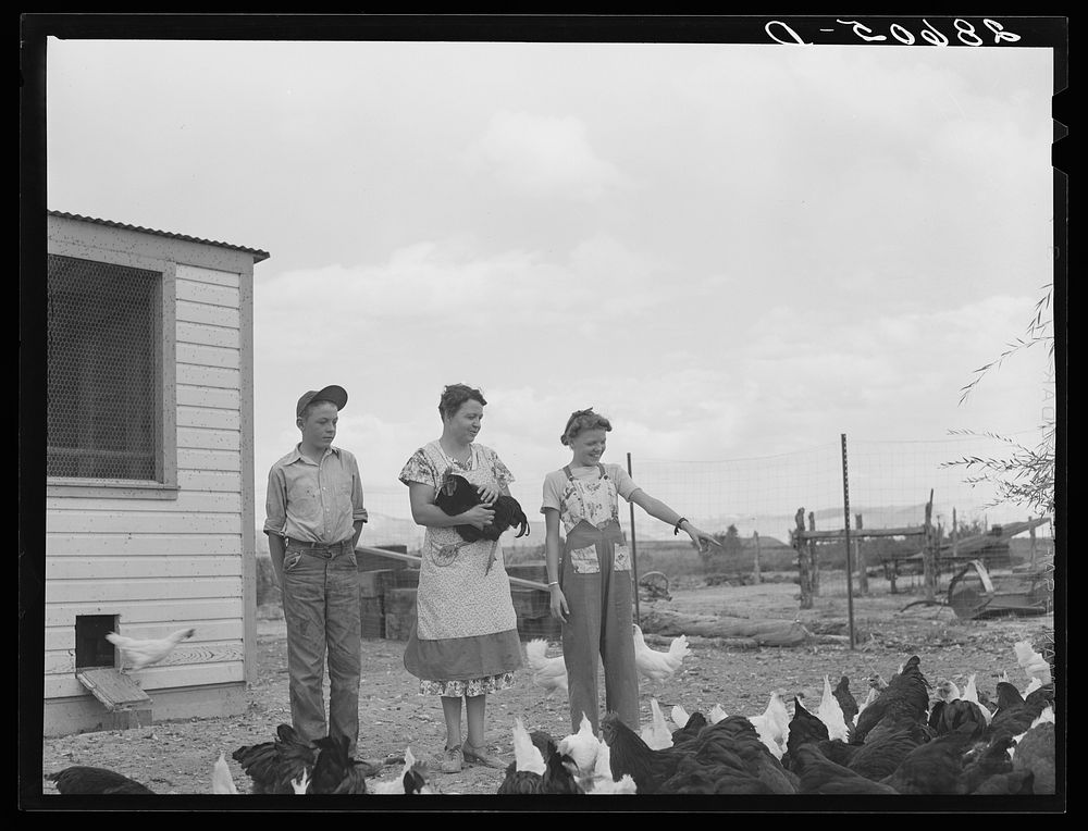 Mrs. Thomas Beede with her son Wayne and daughter Margaret and chickens. Western Slope Farms, Colorado. Sourced from the…