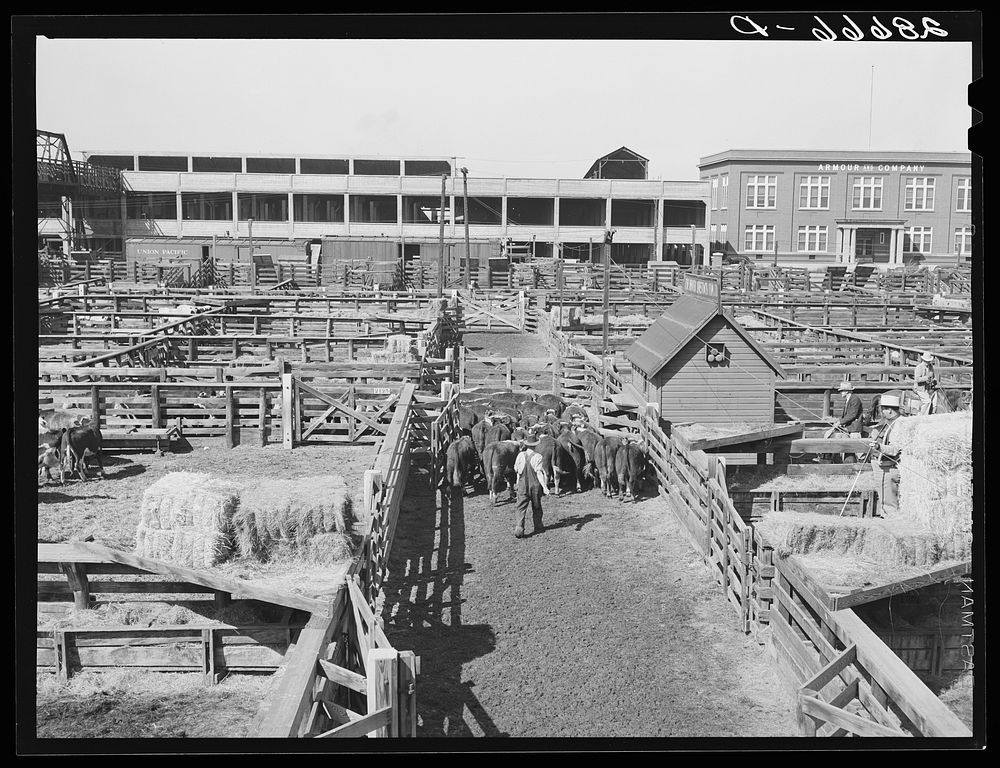 Stockyards. Denver, Colorado. Sourced from the Library of Congress.