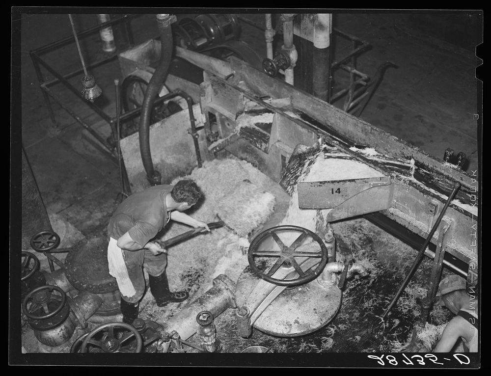 [Untitled photo, possibly related to: Loading diffusion chamber with sugar beet pulp in factory at Brighton, Colorado].…