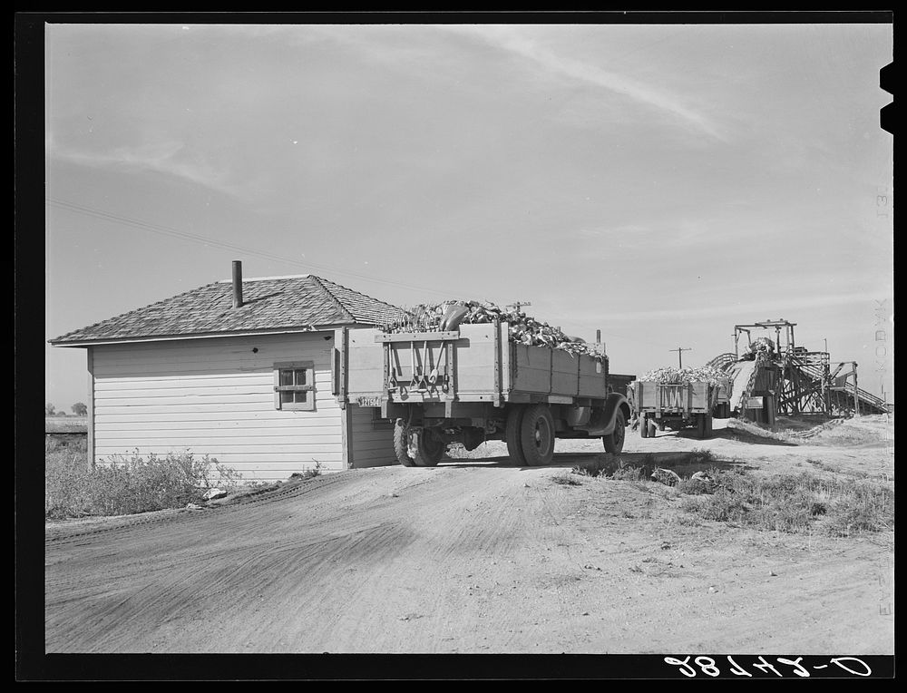 Weighing truck it is unloaded | Free Photo - rawpixel