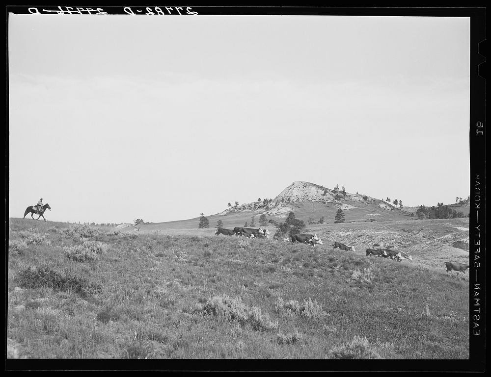Quarter Circle 'U' Ranch, Big Horn County, Montana. Sourced from the Library of Congress.