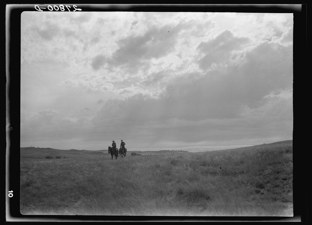 Cowhands at roundup. Quarter Circle 'U' Ranch. Big Horn County, Montana. Sourced from the Library of Congress.