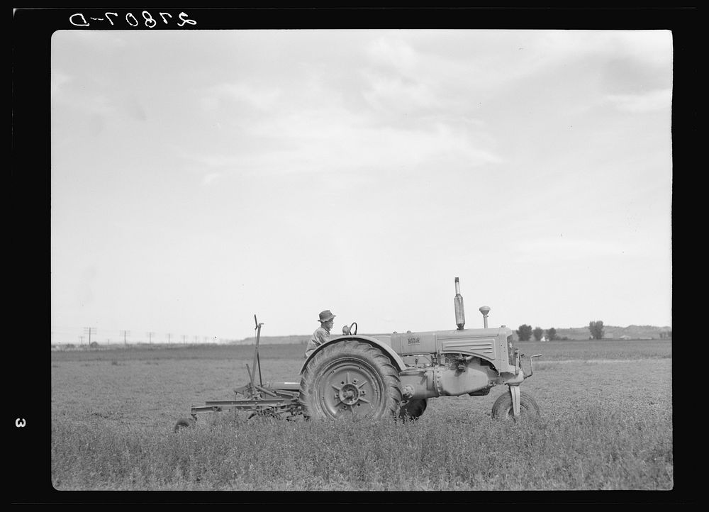 Tractor used in cutting alfalfa. Rosebud County, Montana. Sourced from the Library of Congress.