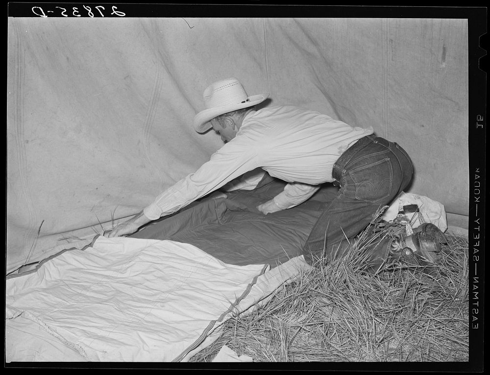 Cowboy making his bed. Quarter Circle 'U' Ranch roundup. Big Horn County, Montana. Sourced from the Library of Congress.