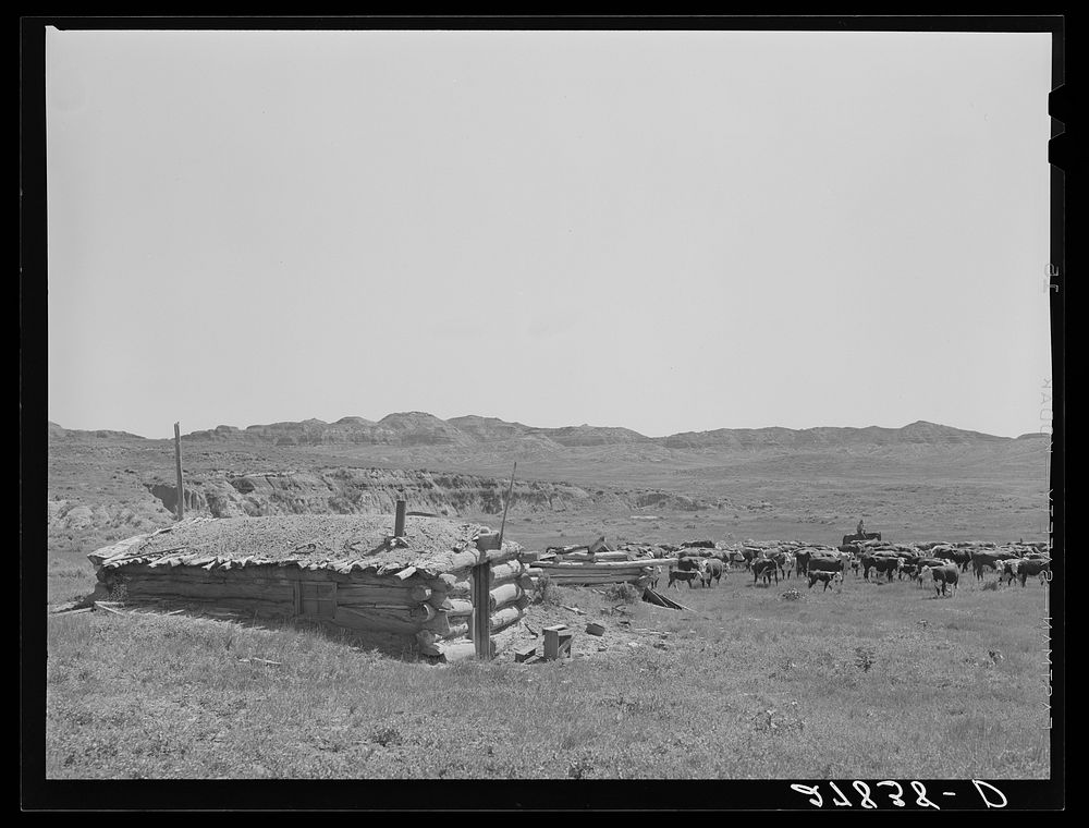[Untitled photo, possibly related to: Homesteader's abandoned dugout. Custer County, Montana]. Sourced from the Library of…