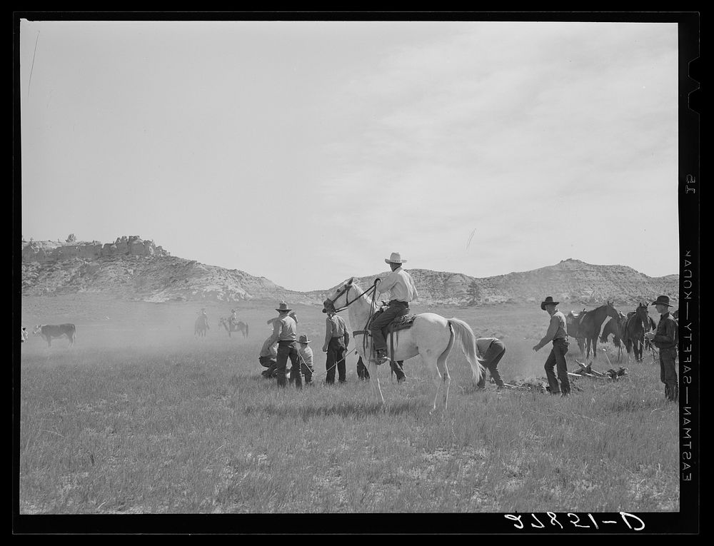 [Untitled photo, possibly related to: Roping a calf. Quarter Circle 'U' Ranch, Big Horn County, Montana]