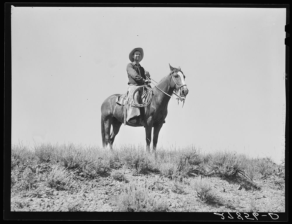 Cowhand. William Tonn ranch, Custer County, Montana. Sourced from the Library of Congress.
