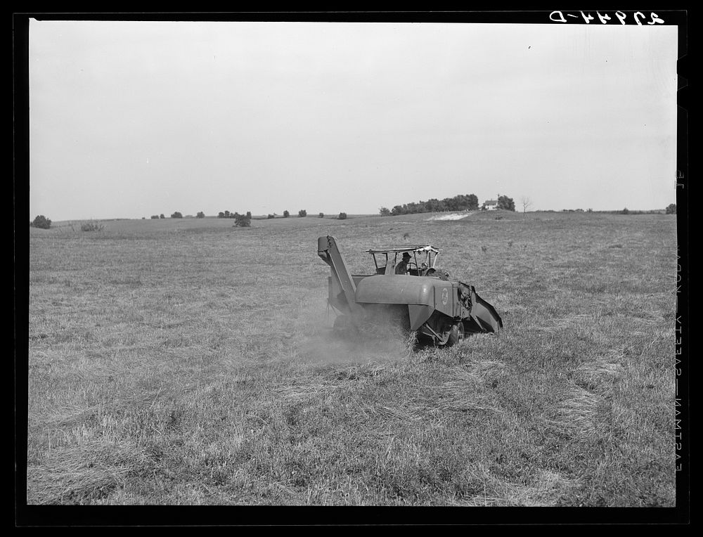 Harvesting timothy seed with combine. Jasper County, Iowa. Sourced from the Library of Congress.