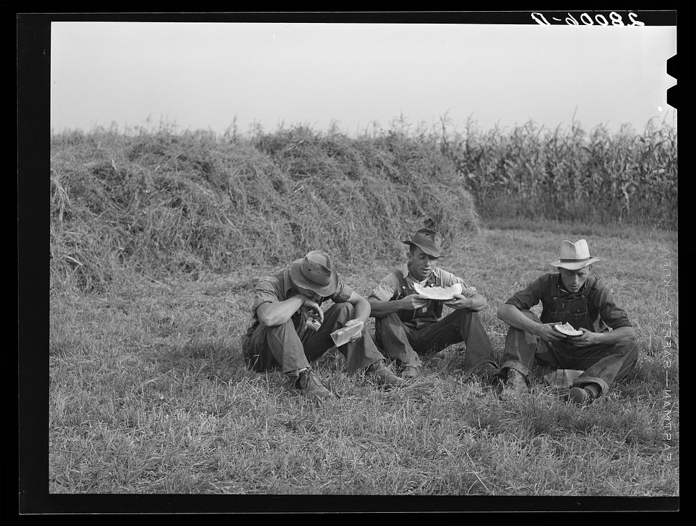 [Untitled photo, possibly related to: Hired hands eating watermelon. Kimberley farm, Jasper County, Iowa]. Sourced from the…