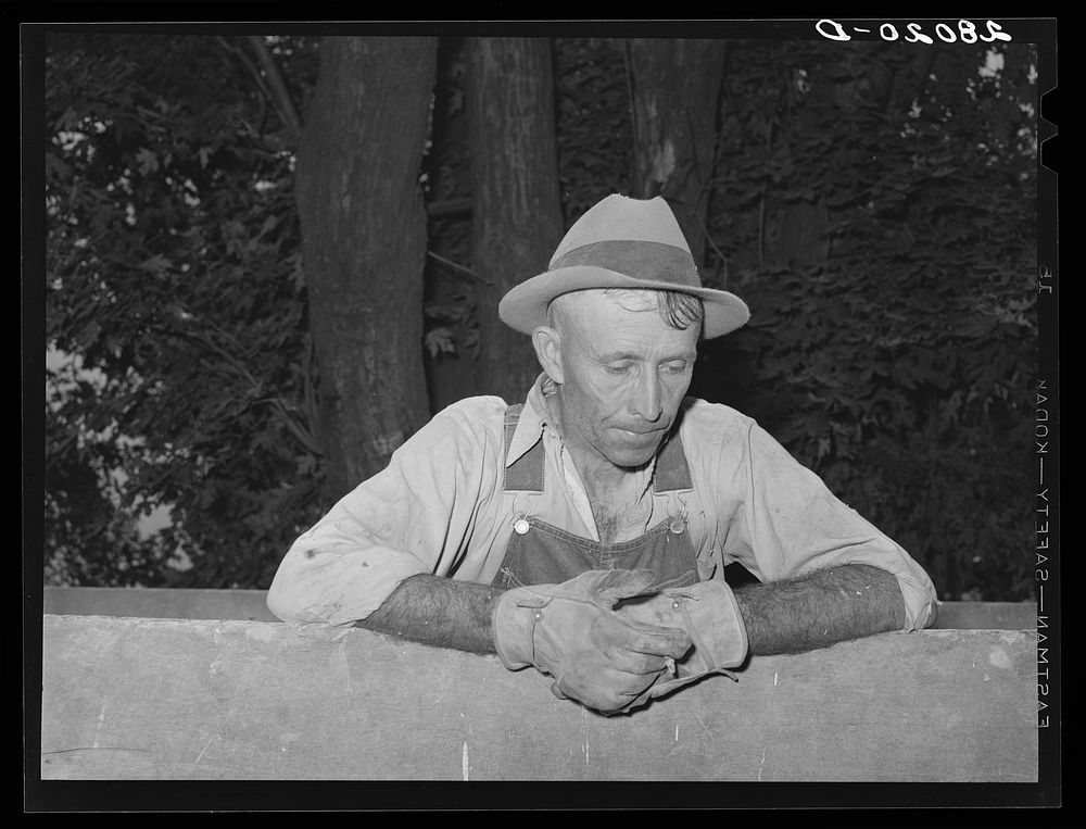 Leo Gannon, farmer. Jasper County, Iowa. Sourced from the Library of Congress.