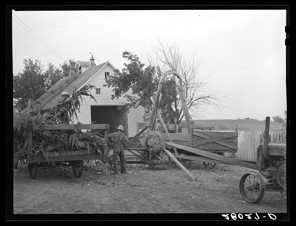 [Untitled photo, possibly related to: Grinding corn for cattle feed. Leo Gannon farm, Jasper County, Iowa]. Sourced from the…