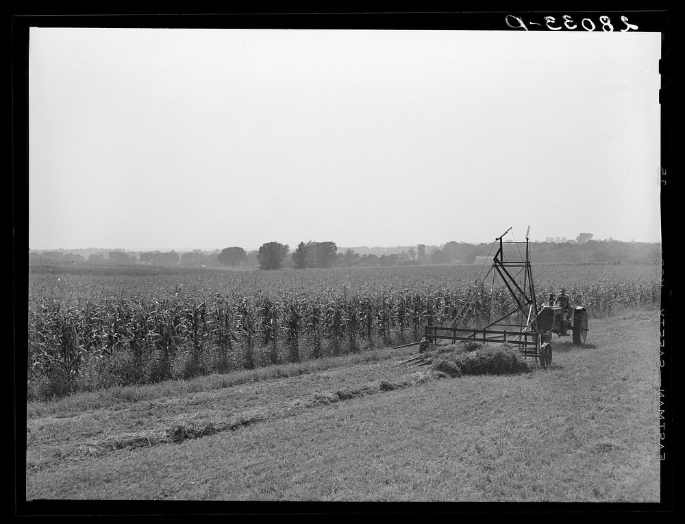 Jayhawk hayloader on Kimberley farm. Jasper County, Iowa. Sourced from the Library of Congress.