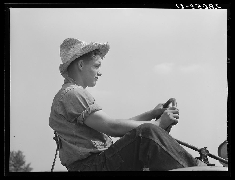[Untitled photo, possibly related to: Bud Kimberley drives tractor. Jasper County, Iowa]. Sourced from the Library of…