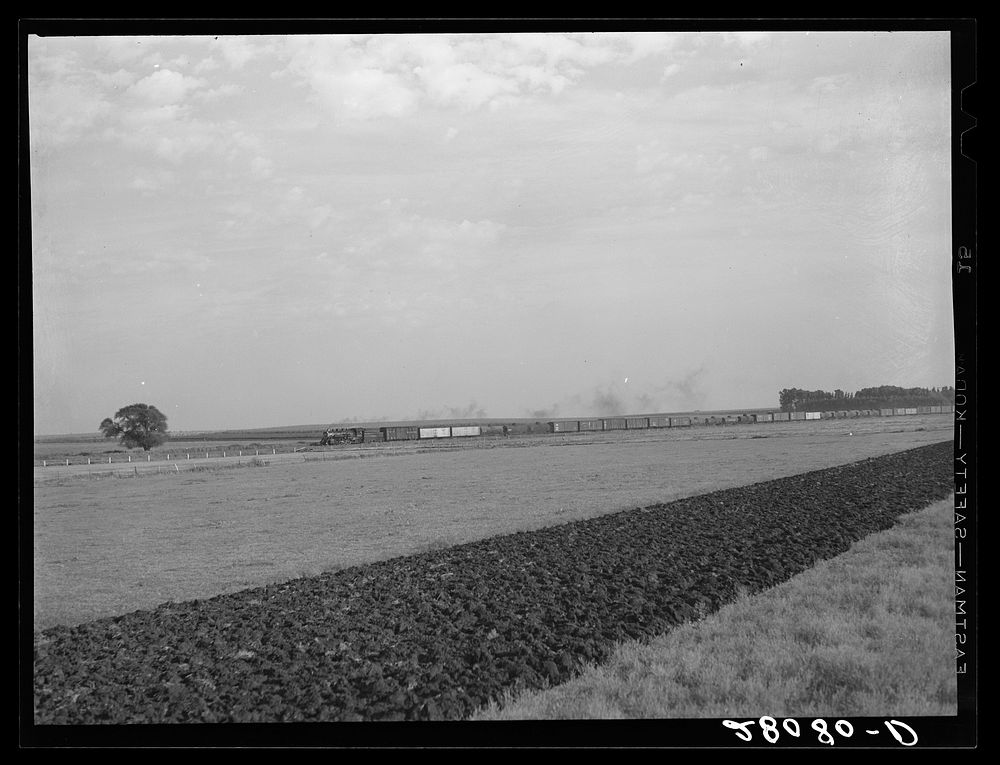 Freight train and plowed field. Hardin County, Iowa. Sourced from the Library of Congress.