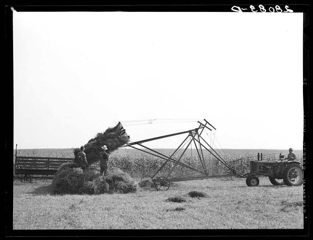 [Untitled photo, possibly related to: Operating a jayhawk hayloader. Kimberley farm, Jasper County, Iowa]. Sourced from the…