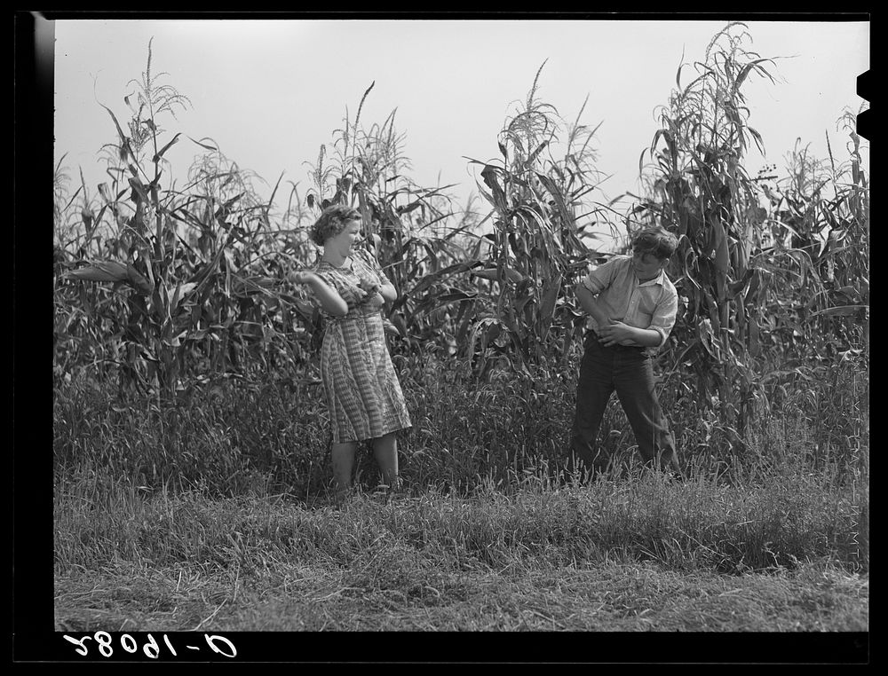 Corn fight between Margaret and Howard Kimberley. Jasper County, Iowa. Sourced from the Library of Congress.