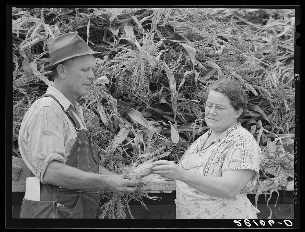 Henry Lundgren, manager of dairy farm, with wife. Dakota County, Minnesota. Sourced from the Library of Congress.