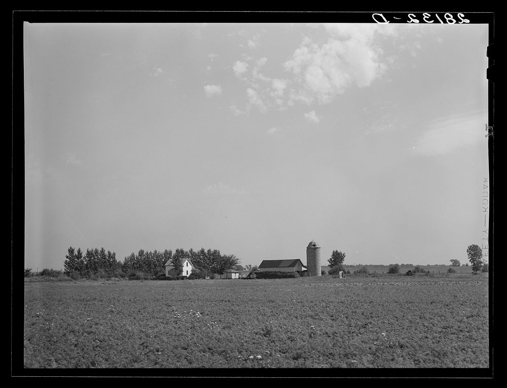 Barn. Rice County, Minnesota. Sourced from the Library of Congress.
