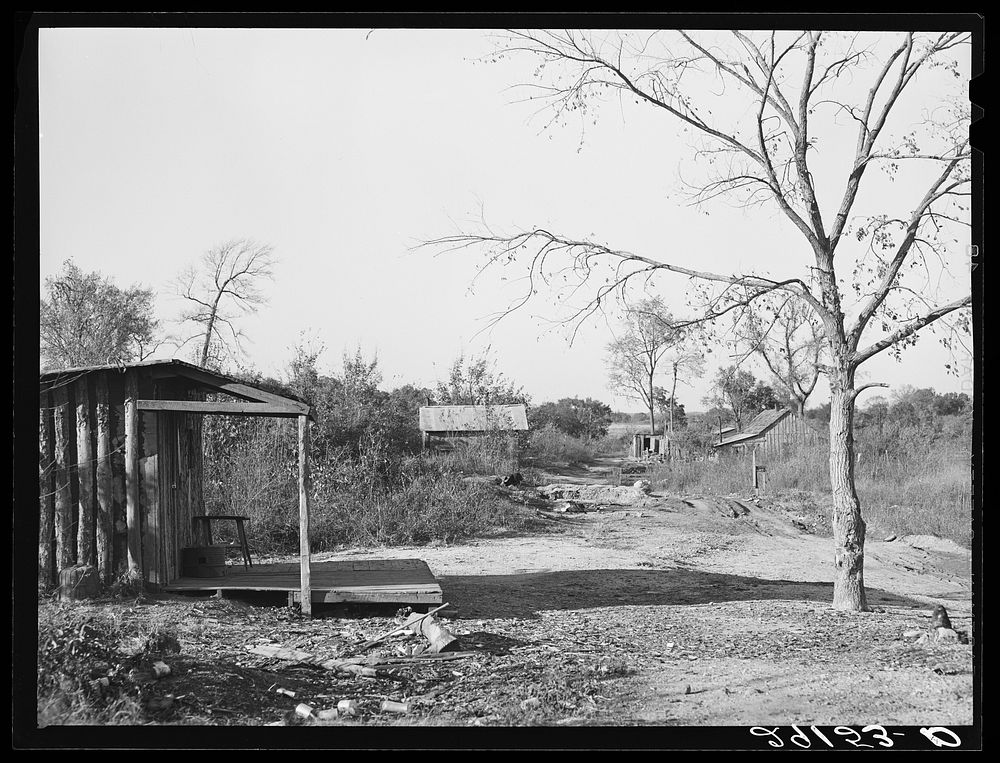 [Untitled photo, possibly related to: Abandoned tiff diggings in paw-paw patch. Washington County, Missouri]. Sourced from…