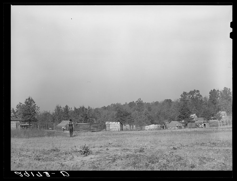 Camp for sharecroppers evicted from southeast Missouri plantation. Butler County, Missouri. Sourced from the Library of…