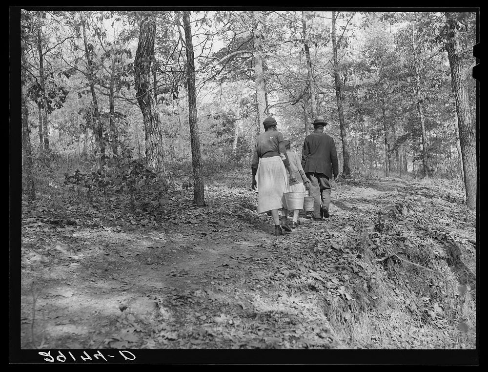 [Untitled photo, possibly related to: Carrying water from the spring. Evicted sharecroppers' camp. Butler County, Missouri…