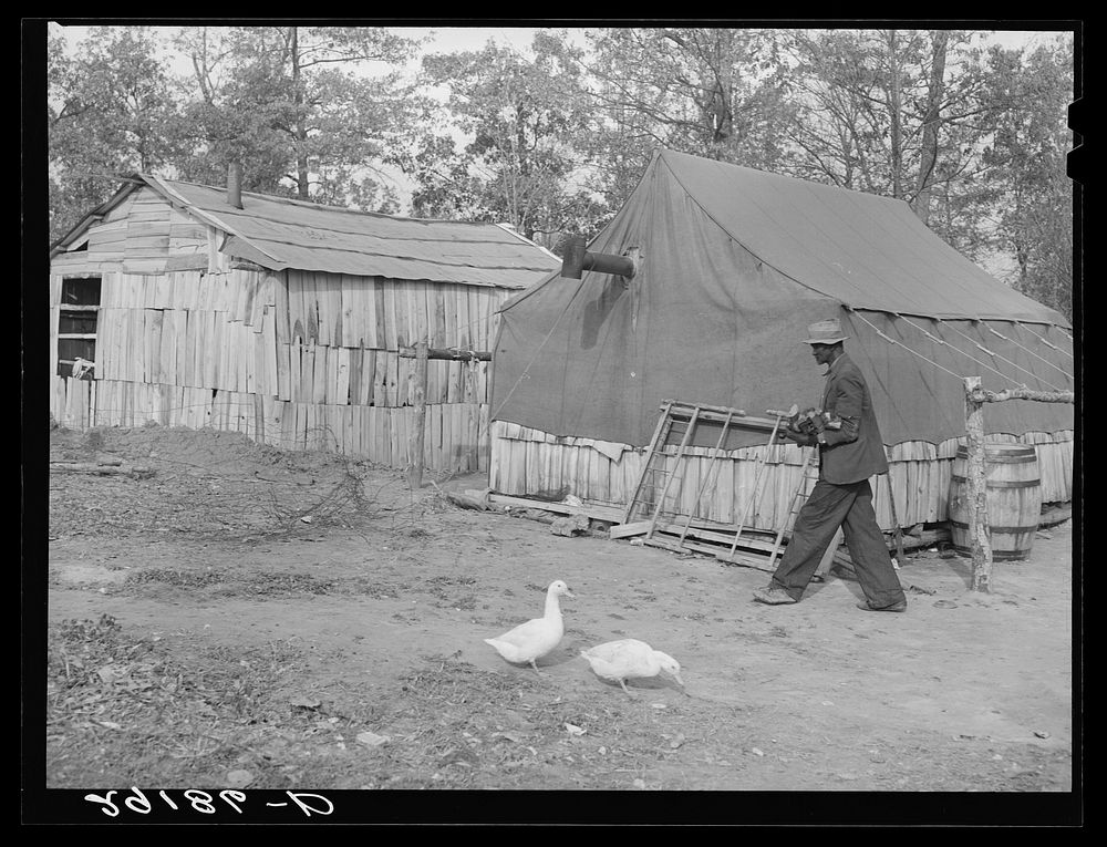 Houses of evicted sharecroppers. Butler County, Missouri. Sourced from the Library of Congress.
