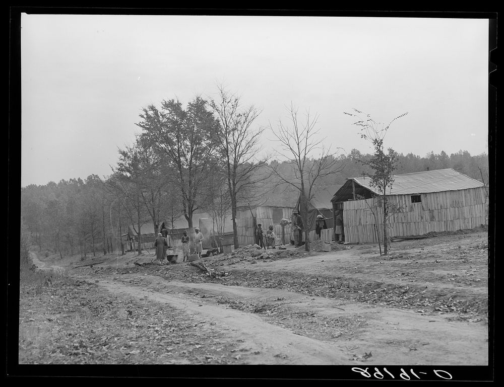 Evicted sharecroppers' camp, Butler County, Missouri. Sourced from the Library of Congress.