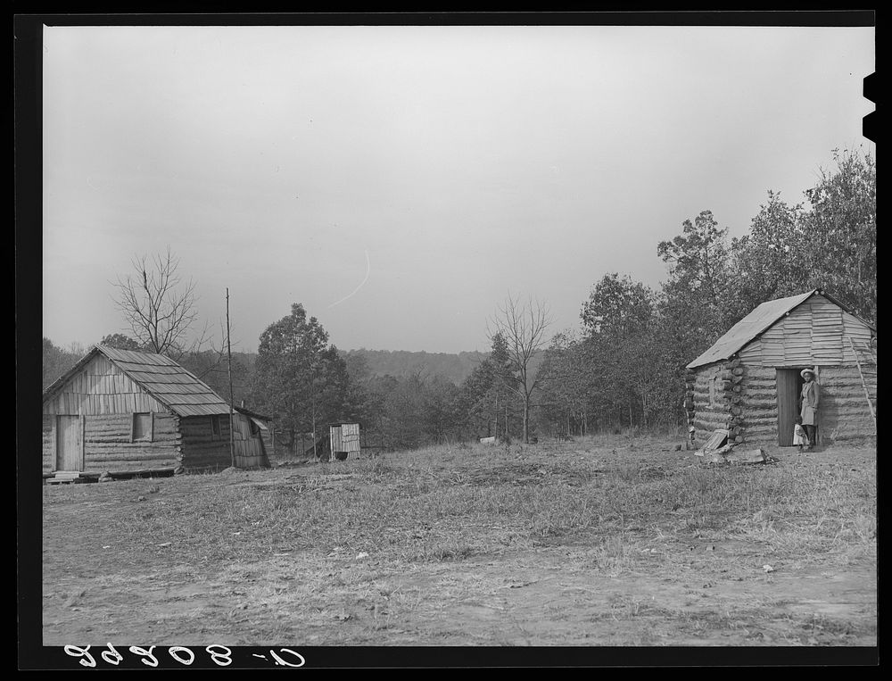 Cabins of evicted sharecroppers. Butler County, Missouri. Sourced from the Library of Congress.