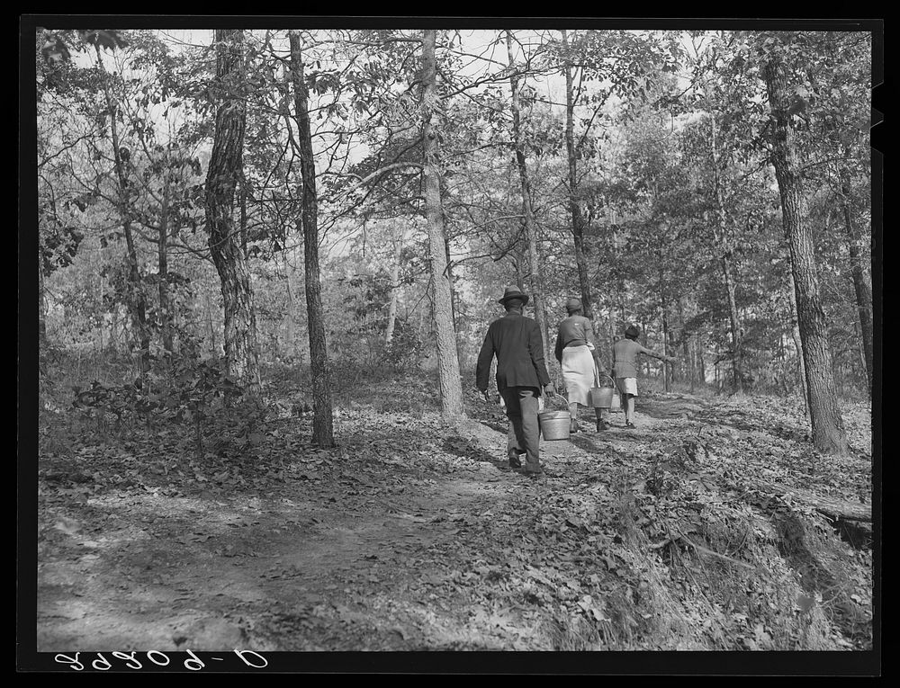 Carrying water from the spring. Evicted sharecroppers' camp. Butler County, Missouri. Sourced from the Library of Congress.