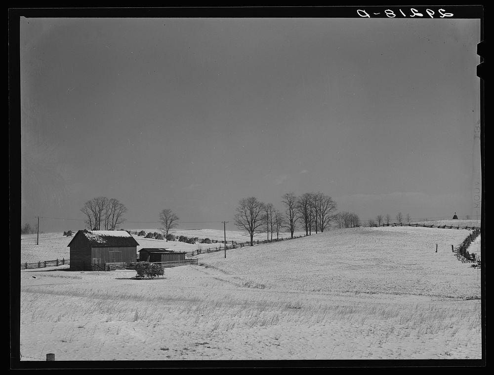 [Untitled photo, possibly related to: Farm. Rappahannock County, Virginia]. Sourced from the Library of Congress.