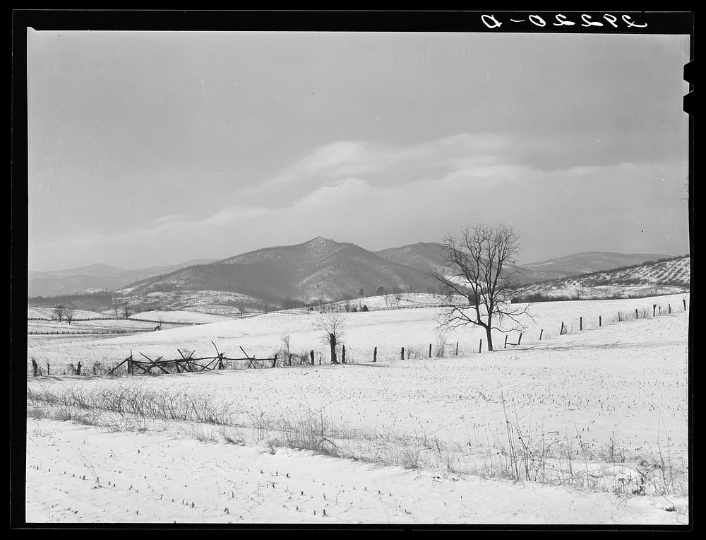 Farmland. Rappahannock County, Virginia. Sourced from the Library of Congress.