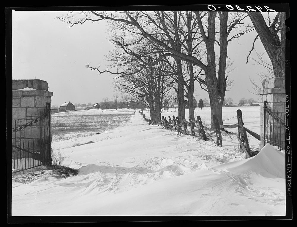 [Untitled photo, possibly related to: Snowbound farm. Montgomery County, Maryland]. Sourced from the Library of Congress.