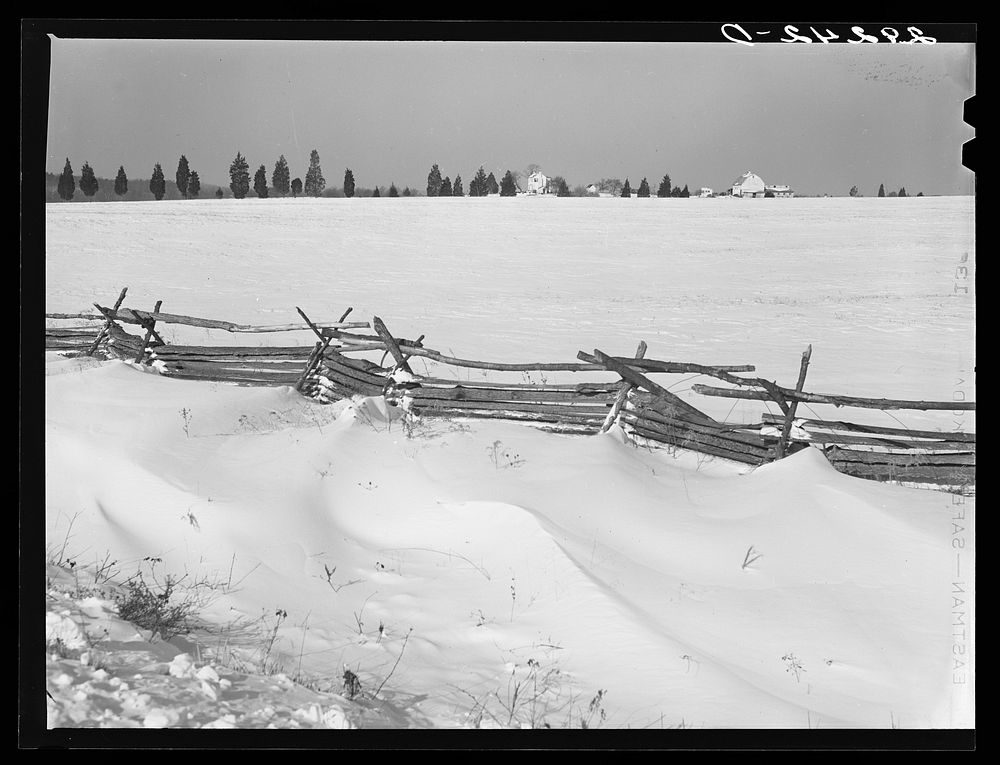 [Untitled photo, possibly related to: Farm fence. Rappahannock County, Virginia]. Sourced from the Library of Congress.