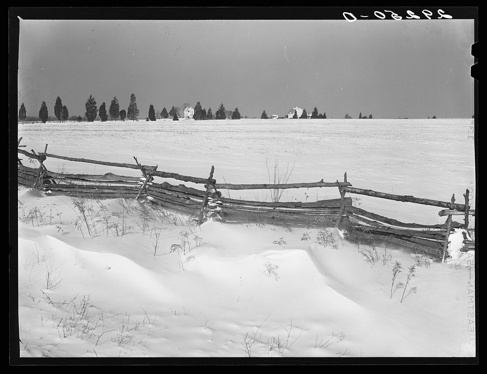 [Untitled photo, possibly related to: Farm fence. Rappahannock County, Virginia]. Sourced from the Library of Congress.