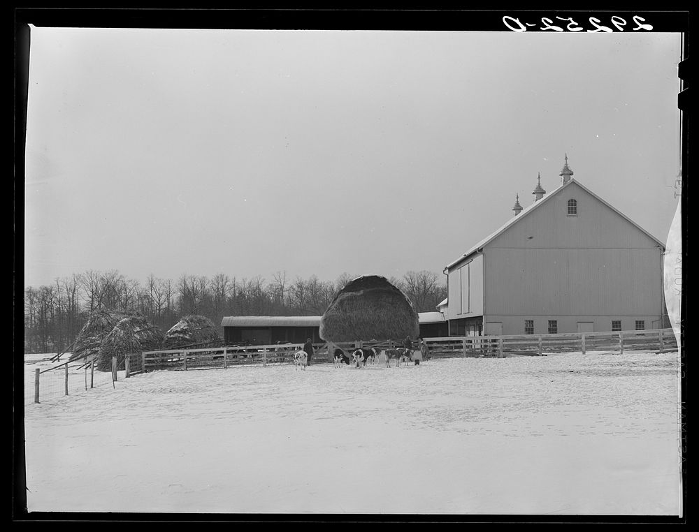 Barn. Montgomery County, Maryland. Sourced from the Library of Congress.